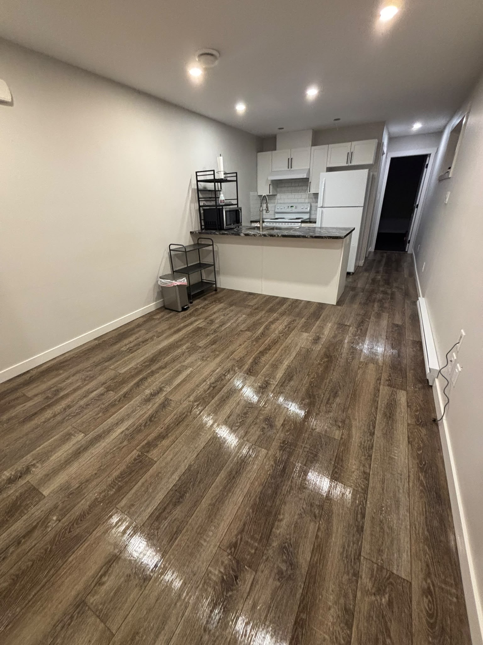 Professional cleaning service photo