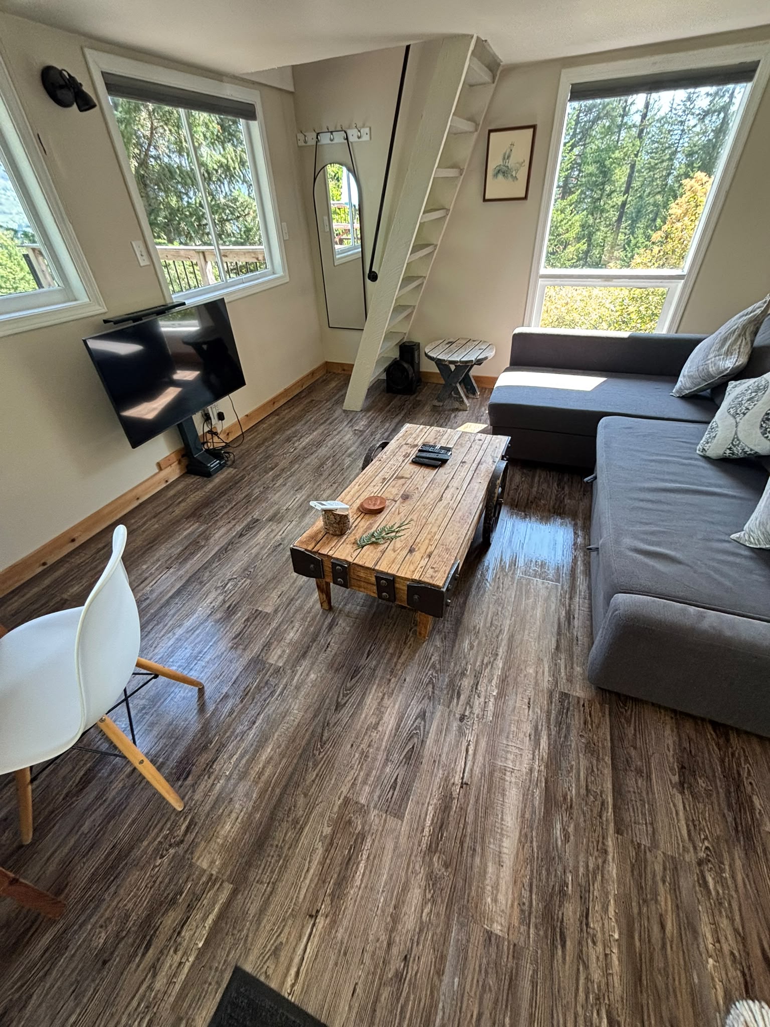 Professional cleaning service photo