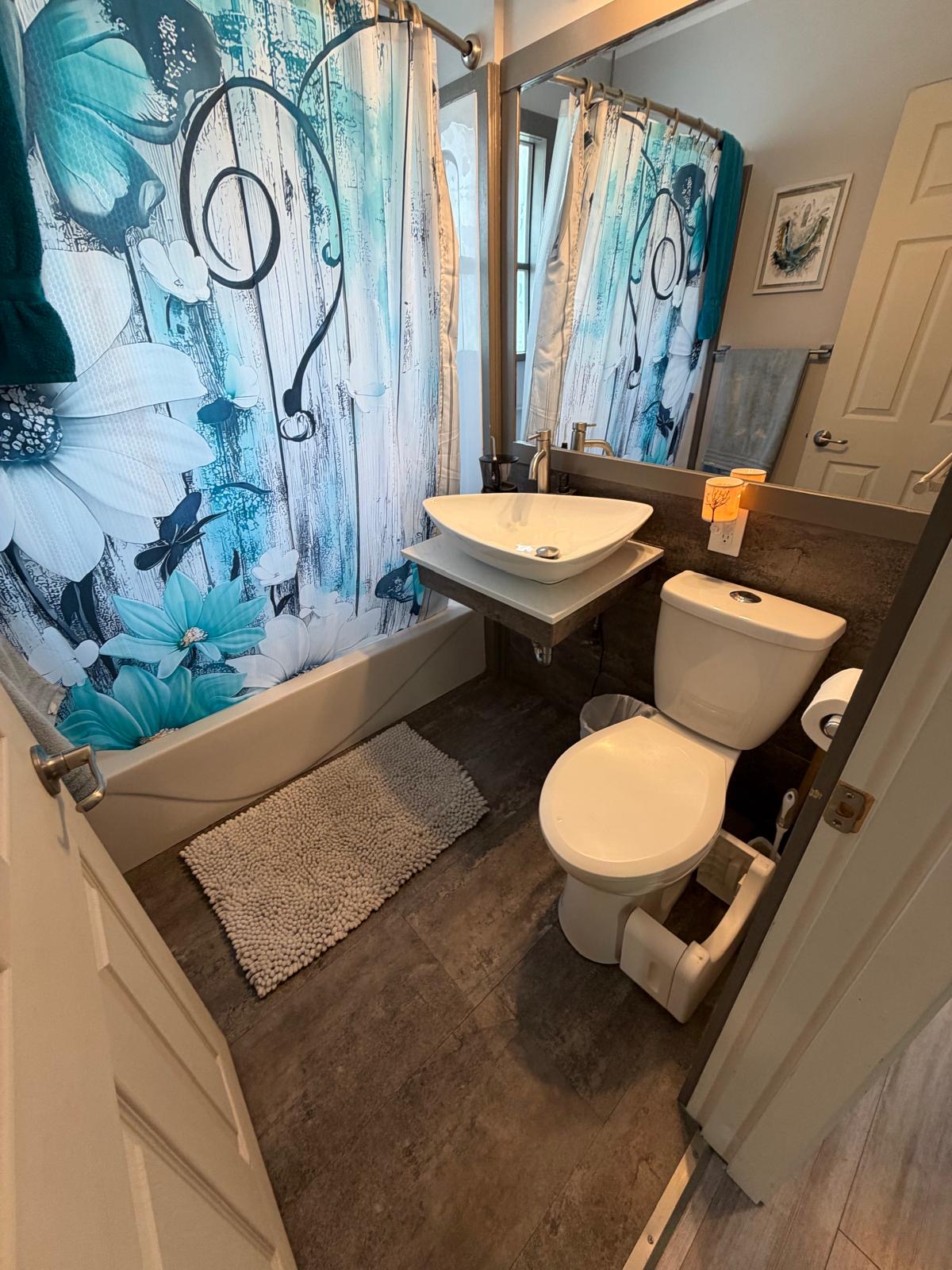 Professional cleaning service photo