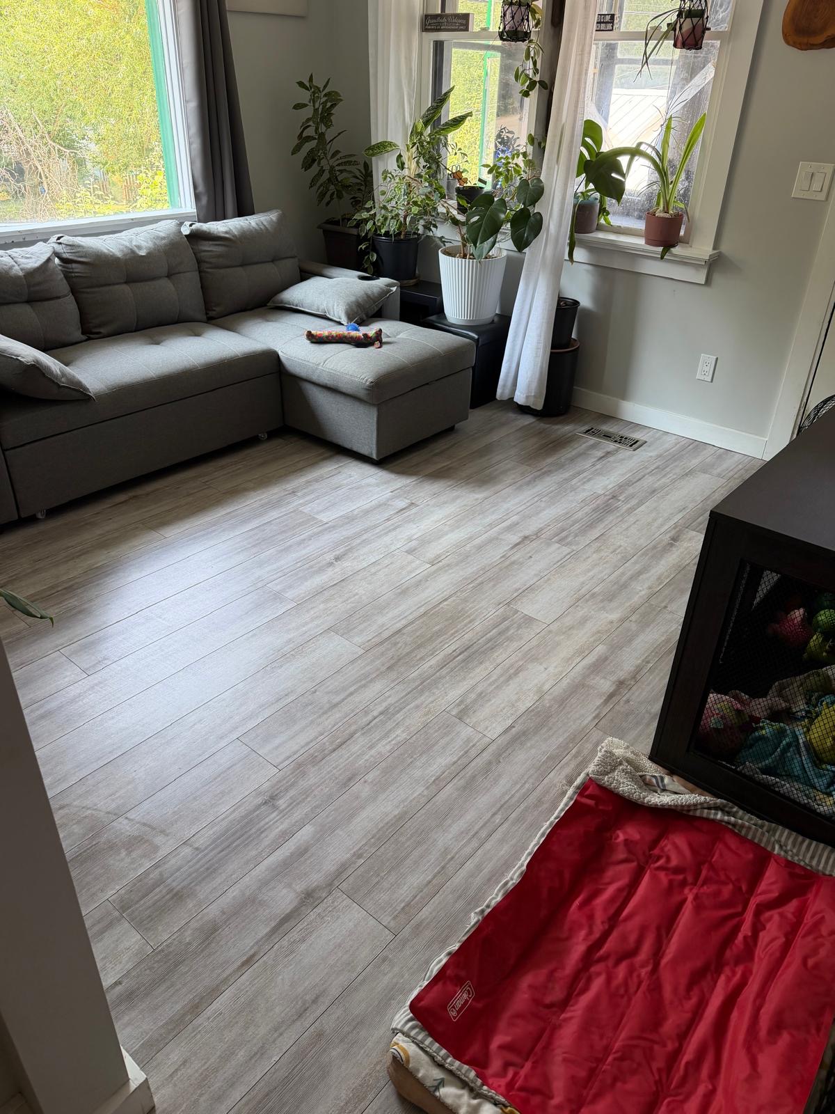 Professional cleaning service photo